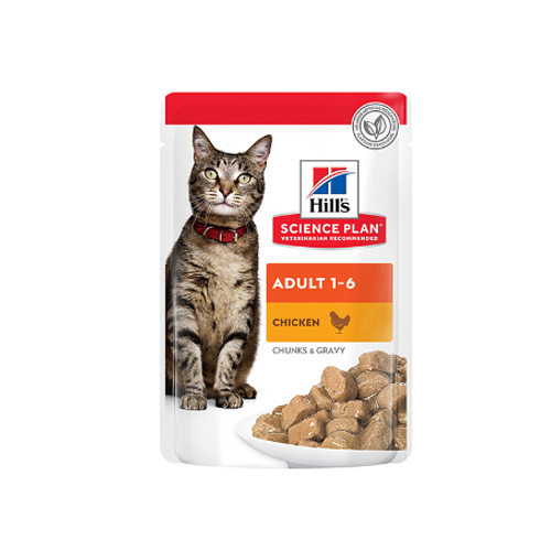 Adult wet cat food best sale